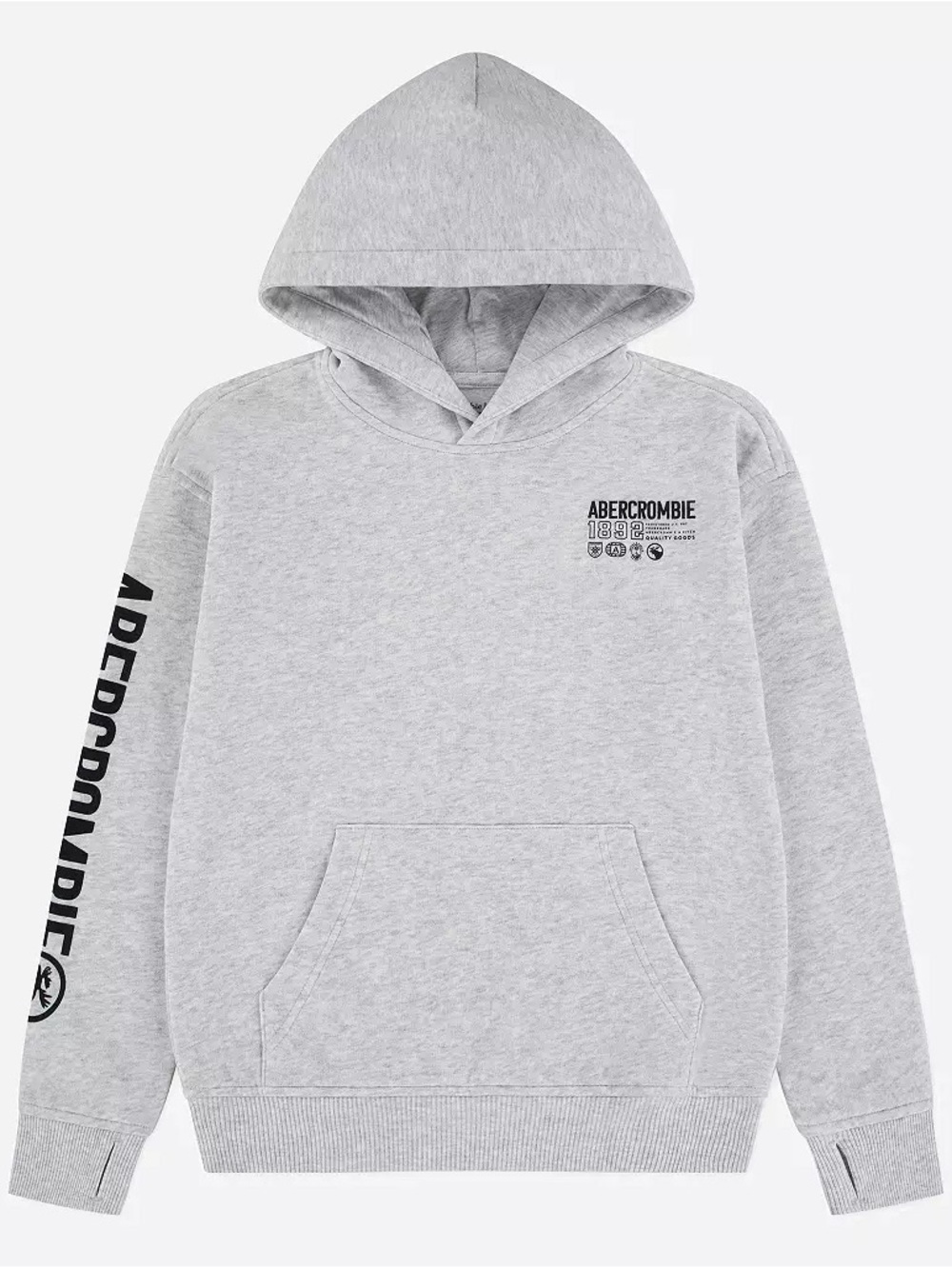 abercrombie kids Light Heather Gray Logo Hoodie with Hiking Motif
